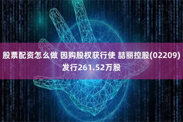 股票配资怎么做 因购股权获行使 喆丽控股(02209)发行261.52万股