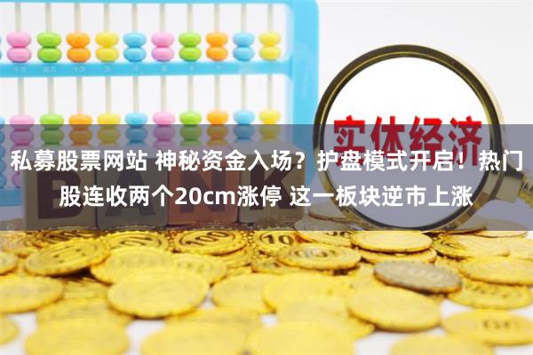私募股票网站 神秘资金入场?护盘模式开启!热门股连收两个20cm涨停 这一板块逆市上涨