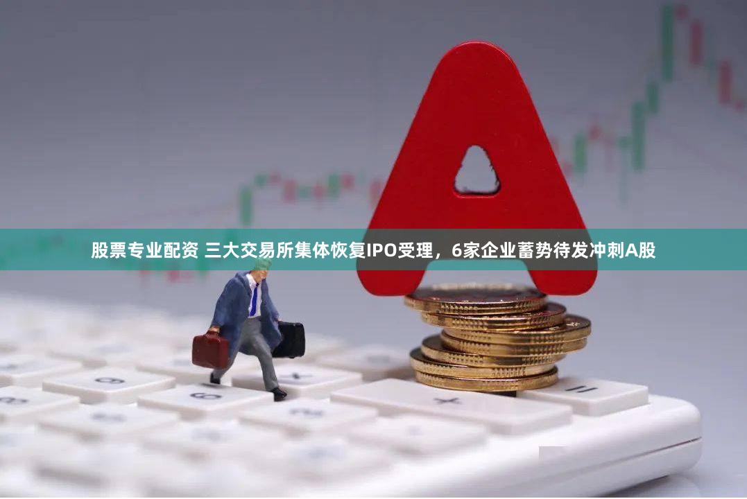 股票专业配资 三大交易所集体恢复IPO受理，6家企业蓄势待发冲刺A股