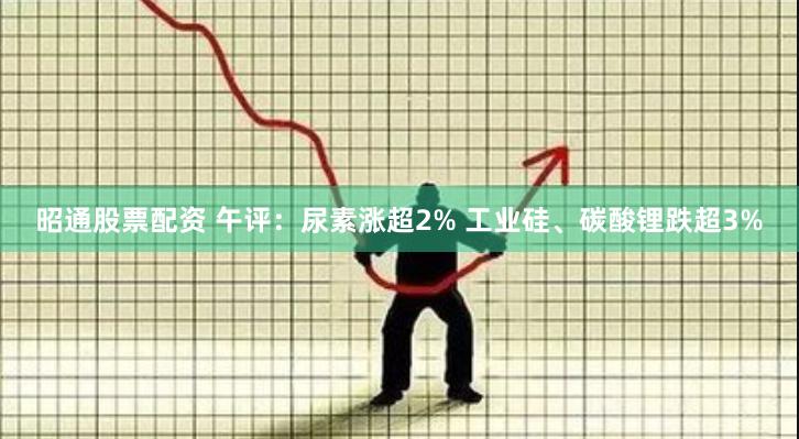 昭通股票配资 午评：尿素涨超2% 工业硅、碳酸锂跌超3%