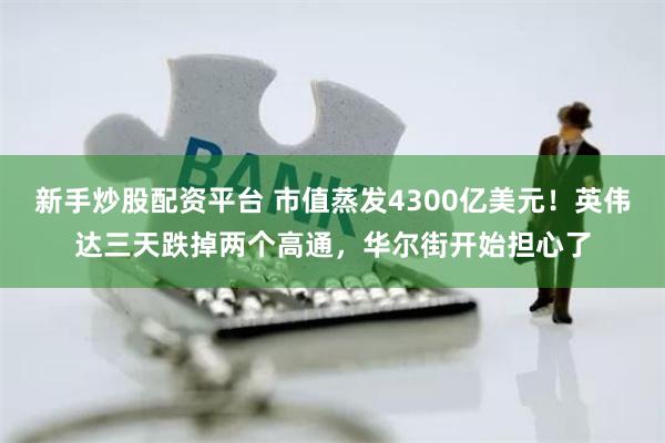 新手炒股配资平台 市值蒸发4300亿美元！英伟达三天跌掉两个高通，华尔街开始担心了