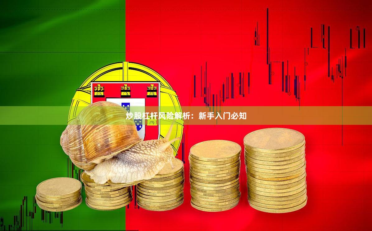 炒股杠杆风险解析：新手入门必知