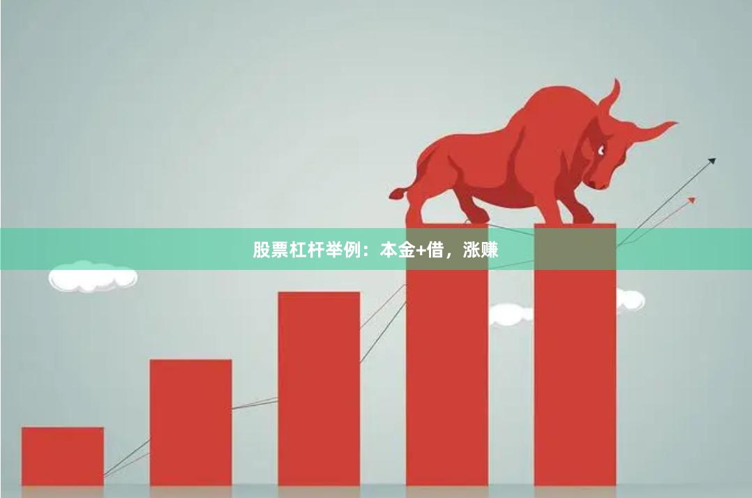 股票杠杆举例：本金+借，涨赚